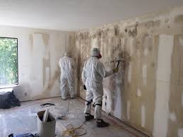 Best Mold Prevention Services  in Shamrock, TX